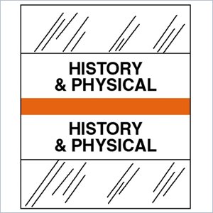 Tabbies Medical Chart Index Divider Tab