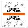 ADD TO YOUR SET: Tabbies Medical Chart Index Divider Tab