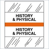 Tabbies Medical Chart Index Divider Tab
