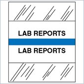 Tabbies Medical Chart Index Divider Tab