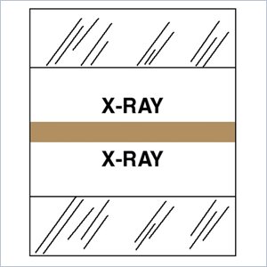 Tabbies Medical Chart Index Divider Tab
