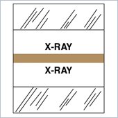 Tabbies Medical Chart Index Divider Tab