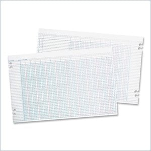 Wilson Jones Columnar Ruled Ledger Sheet