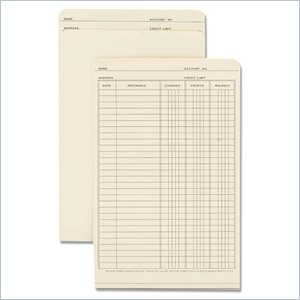 Wilson Jones Ledger Folder