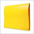 ADD TO YOUR SET: Wilson Jones ColorLife Expanding Wallet