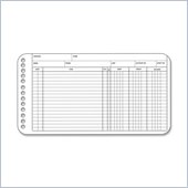 Wilson Jones Multiple Hole Ledger Sheet