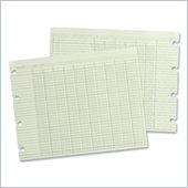 Wilson Jones Regular Ledger Sheets