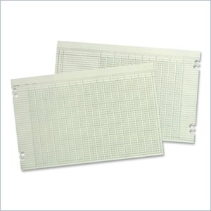 Wilson Jones Columnar Ruled Ledger Sheet