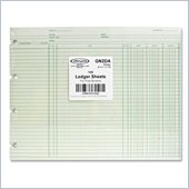 Wilson Jones Regular Ledger Sheets