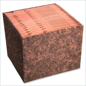 Wilson Jones 1-31 Expanding File