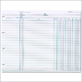 Wilson Jones Balance Ledger Columnar Sheet