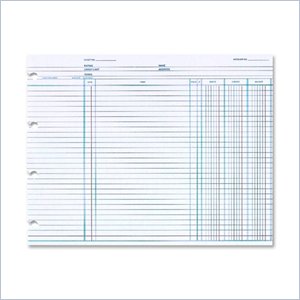 Wilson Jones Regular Ledger Sheets