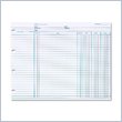ADD TO YOUR SET: Wilson Jones Regular Ledger Sheets