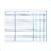 Wilson Jones Regular Ledger Sheets