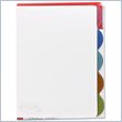 ADD TO YOUR SET: Wilson Jones View-Tab Transparent Divider