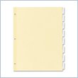 ADD TO YOUR SET: Wilson Jones Insertable Tab Indexes