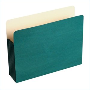 Wilson Jones ColorLife File Pocket