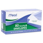 Mead Security Envelope