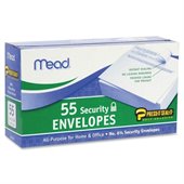 Mead Security Envelopes