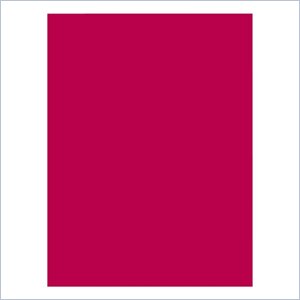 Riverside Groundwood Construction Paper