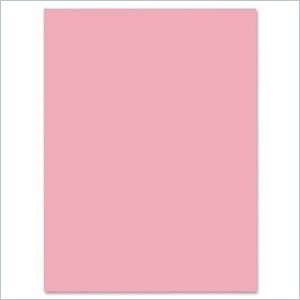Riverside Groundwood Construction Paper