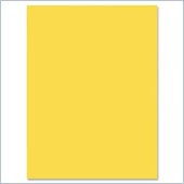 Riverside Groundwood Construction Paper