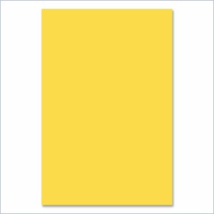 Riverside Groundwood Construction Paper