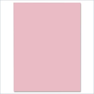 Riverside Groundwood Construction Paper