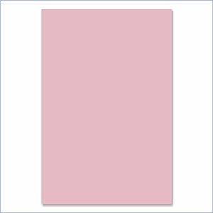 Riverside Groundwood Construction Paper