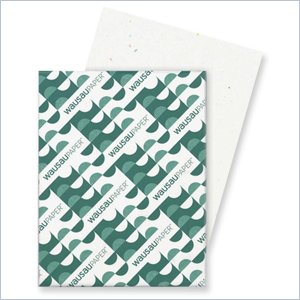 Wausau Paper Astrobrights Card Stock Paper
