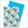 ADD TO YOUR SET: Wausau Paper Astrobrights Card Stock Paper