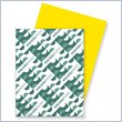 ADD TO YOUR SET: Wausau Paper Astrobrights Card Stock Paper