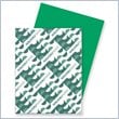 ADD TO YOUR SET: Wausau Paper Astrobrights Card Stock Paper
