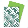 ADD TO YOUR SET: Wausau Paper Astrobrights Card Stock Paper