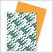 ADD TO YOUR SET: Wausau Paper Astrobrights Card Stock Paper