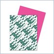 ADD TO YOUR SET: Wausau Paper Astrobrights Card Stock Paper