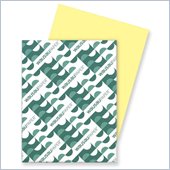 Wausau Paper Heavyweight Exact Index Paper
