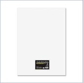 Wausau Paper Astrobrights Premium Posterboard