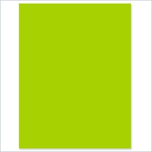 Wausau Paper Astrobrights Premium Paper