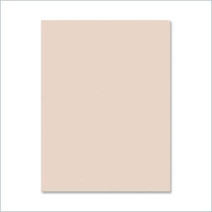 Pacon Tagboard Paper