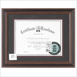 Burnes Document Frame