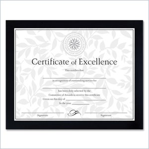 Burnes Photo/Document Frame
