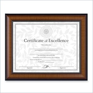 Burnes Document Frame