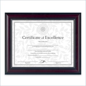 Burnes Document Frame