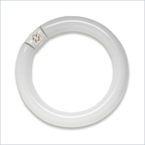 SLI Lighting Circline Fluorescent Tube Bulb
