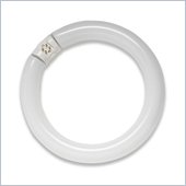 SLI Lighting Circline Fluorescent Tube Bulb