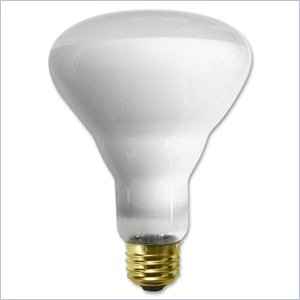 SLI Lighting Indoor Flood Bulb