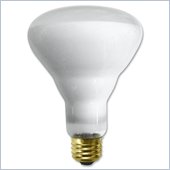 SLI Lighting Indoor Flood Bulb
