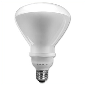 SLI Lighting Fluorescent Bulb
