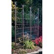 Trellises 